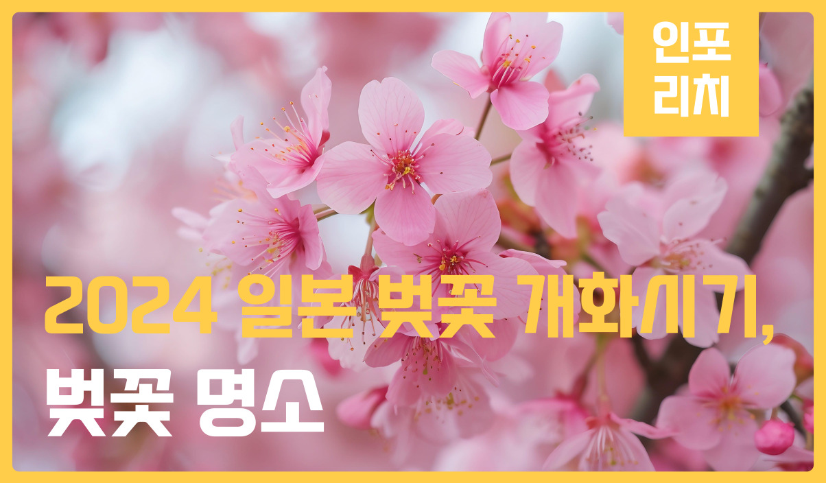 2024 일본 벚꽃 개화시기